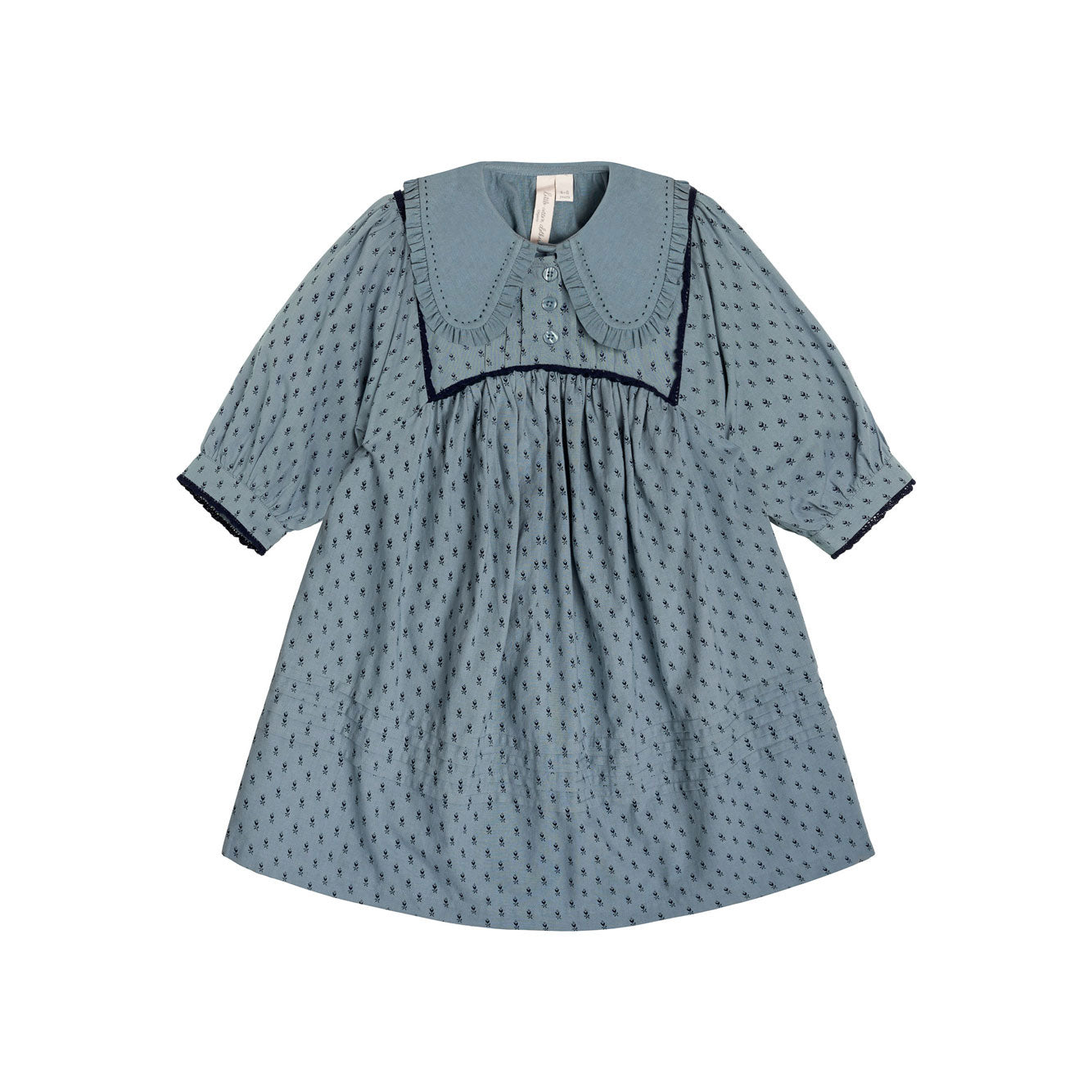Little Cotton Clothes Dorset Floral Organic Lottie Dress