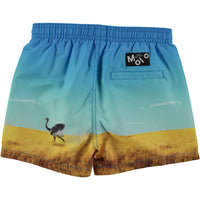 Molo Rhino Niko Boardies