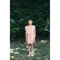 Picnik Flowers Lola Dress