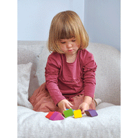 Tender Leaf Toys Designer Magblocs