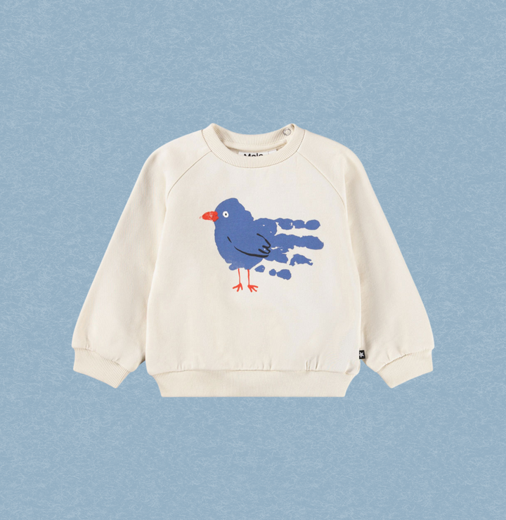 * Baby Boy Sweatshirts