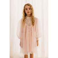 Petite Amalie  Shell Pink Lace Applique Tulle Baydoll Dress