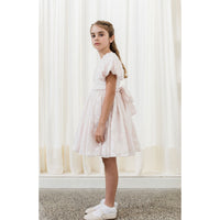 Petite Amalie  Soft Pink Amelia Burnout Dress