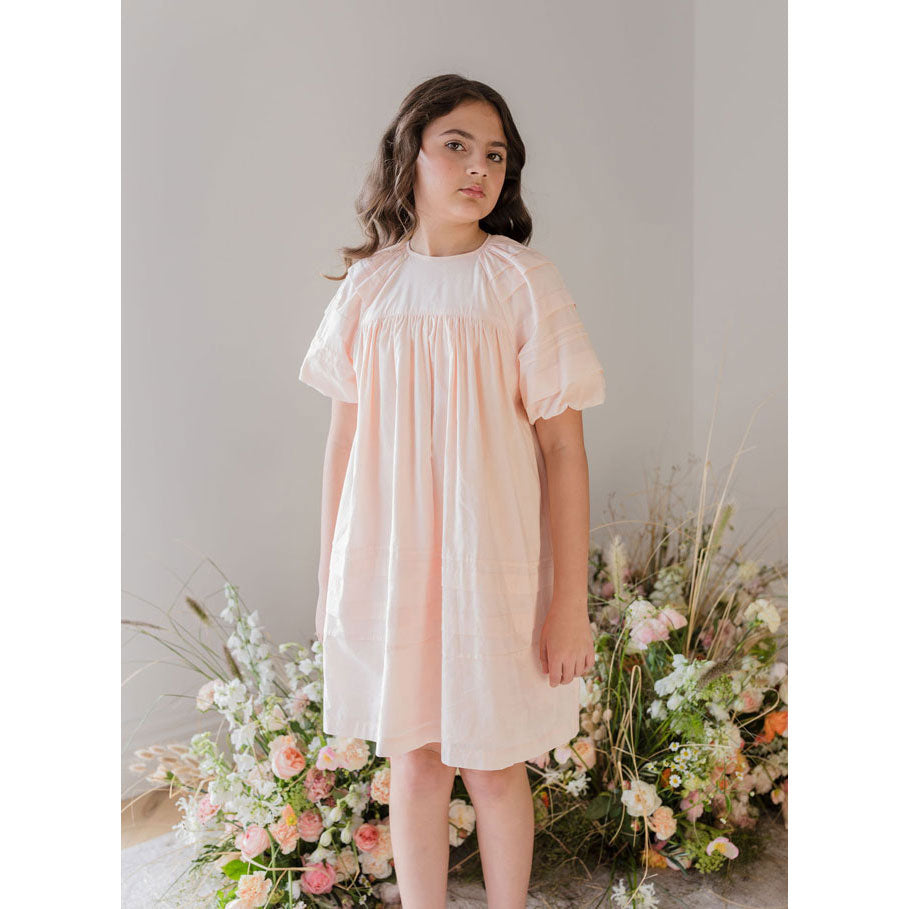 Steph Shell Pink Pleat Smock Voile Dress