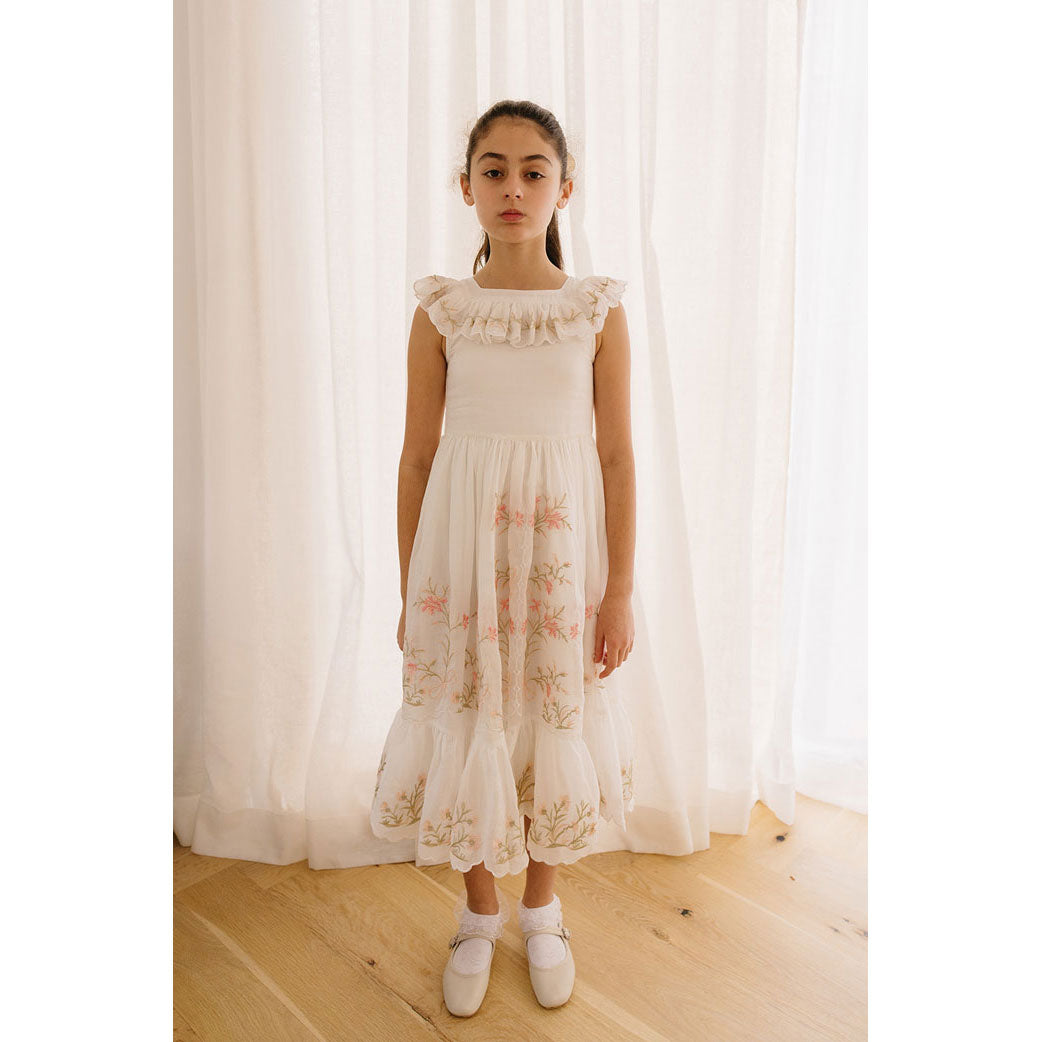 knee length dresses for ladies Penelope Mini Dress main image 1