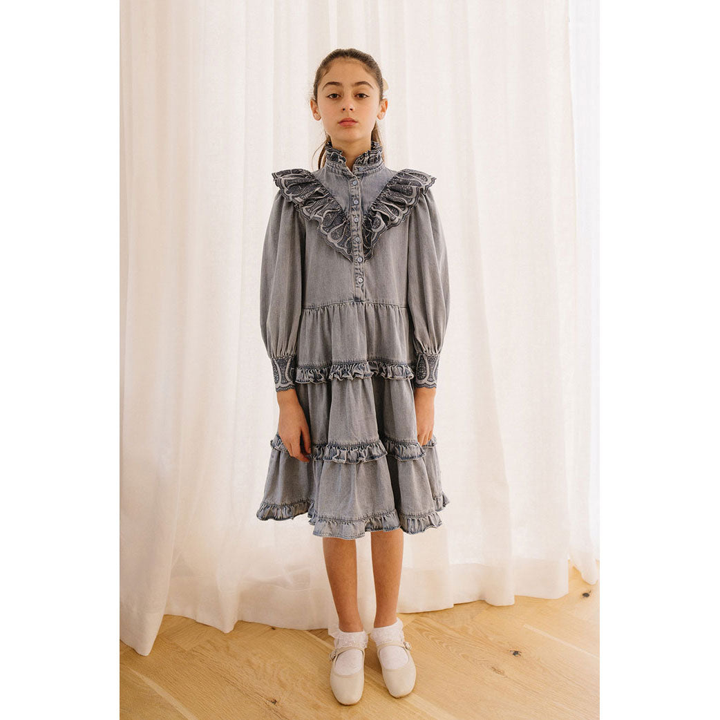 Petite Pink Light Chambray Embroidered Dress With Tiered Skirt