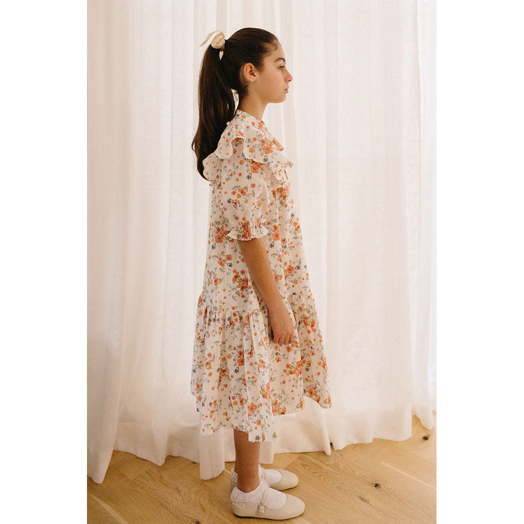 Petite Pink Coral Floral Printed Dress