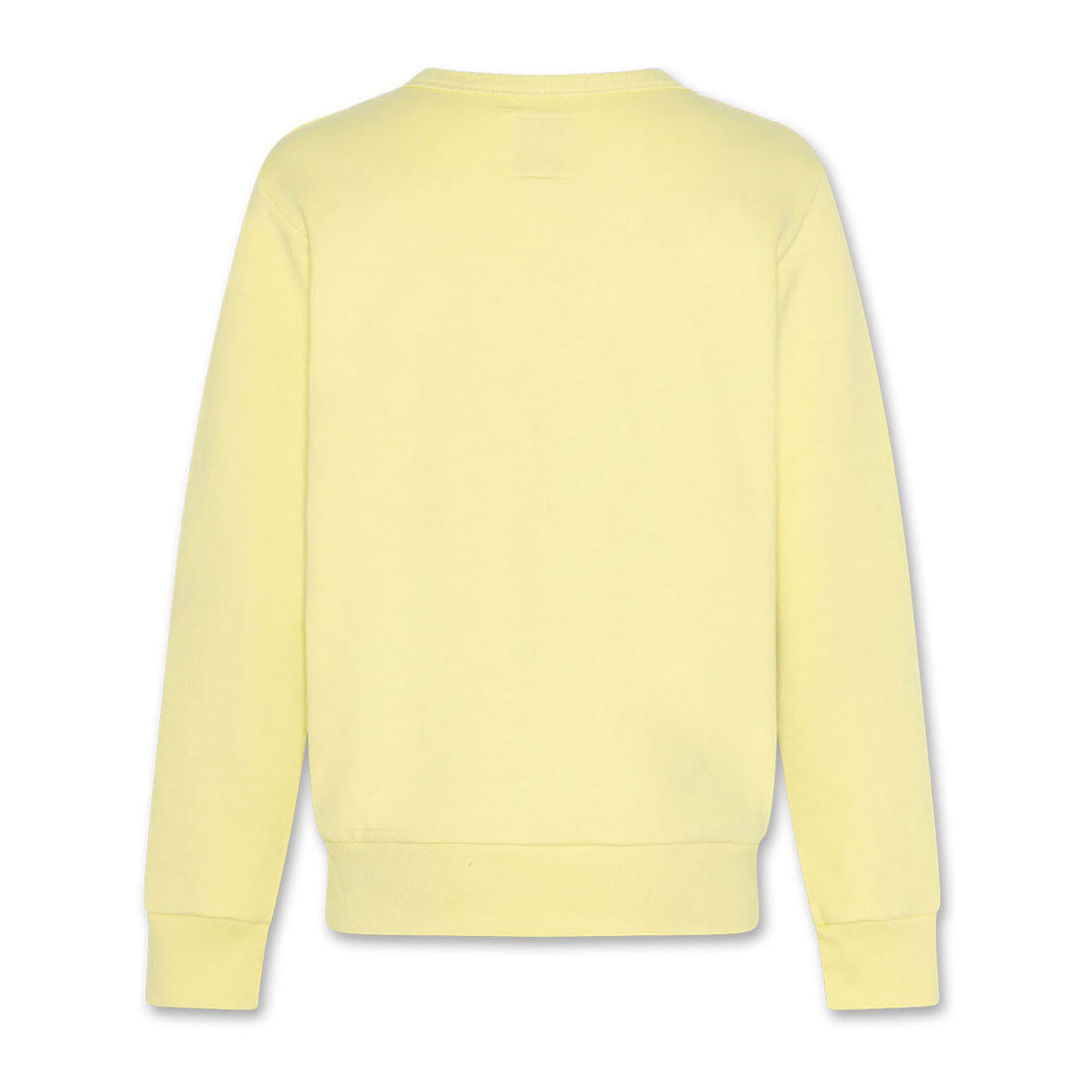 AO76 Yellow Toucan Tom Pullover