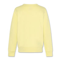 AO76 Yellow Toucan Tom Pullover