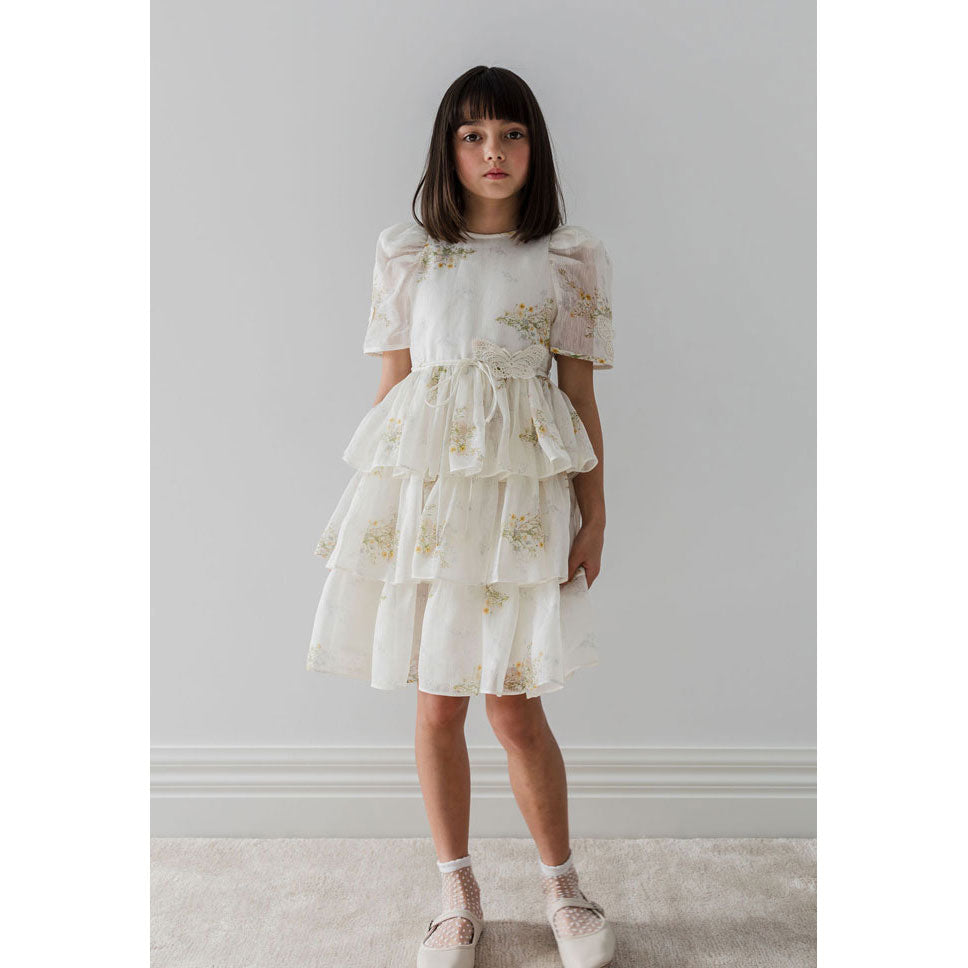 Petite Amalie Spring Meadow Butterfly Dress