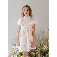 Steph Petite Rose Voile Dress