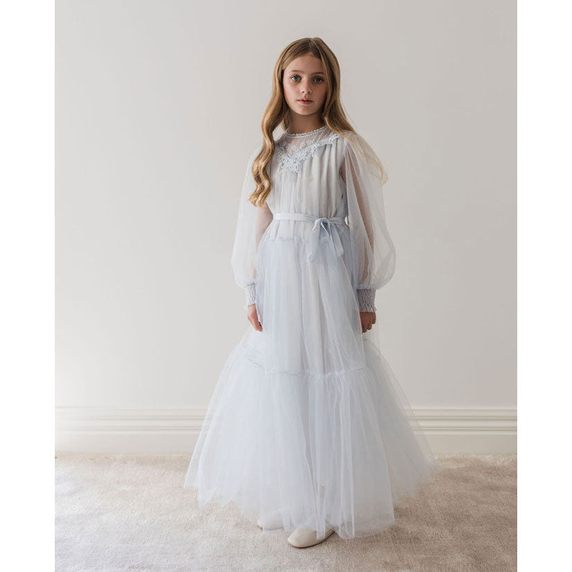 Petite Gold Soft Blue Vintage Yoke Tulle Dress