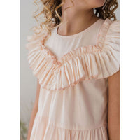 Steph Soft Pink Frill Yoke Voile Dress