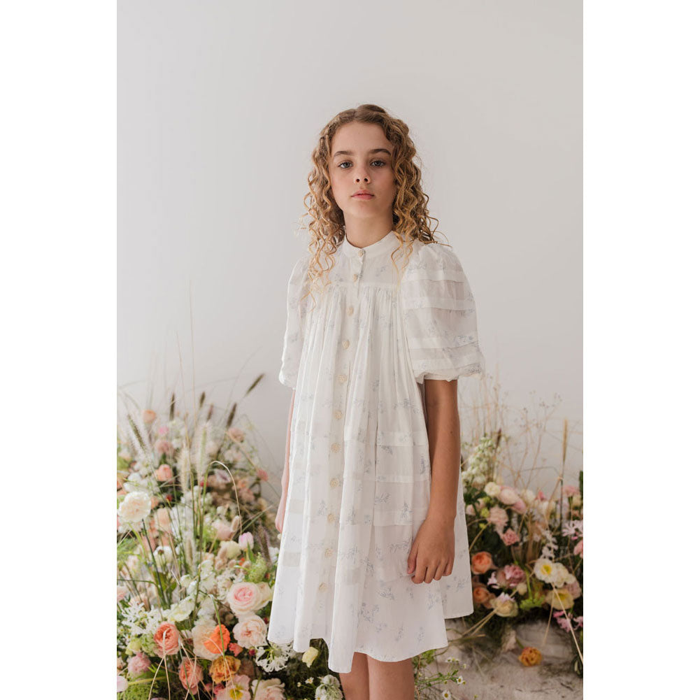 Steph Blue Ditsy Voile Dress