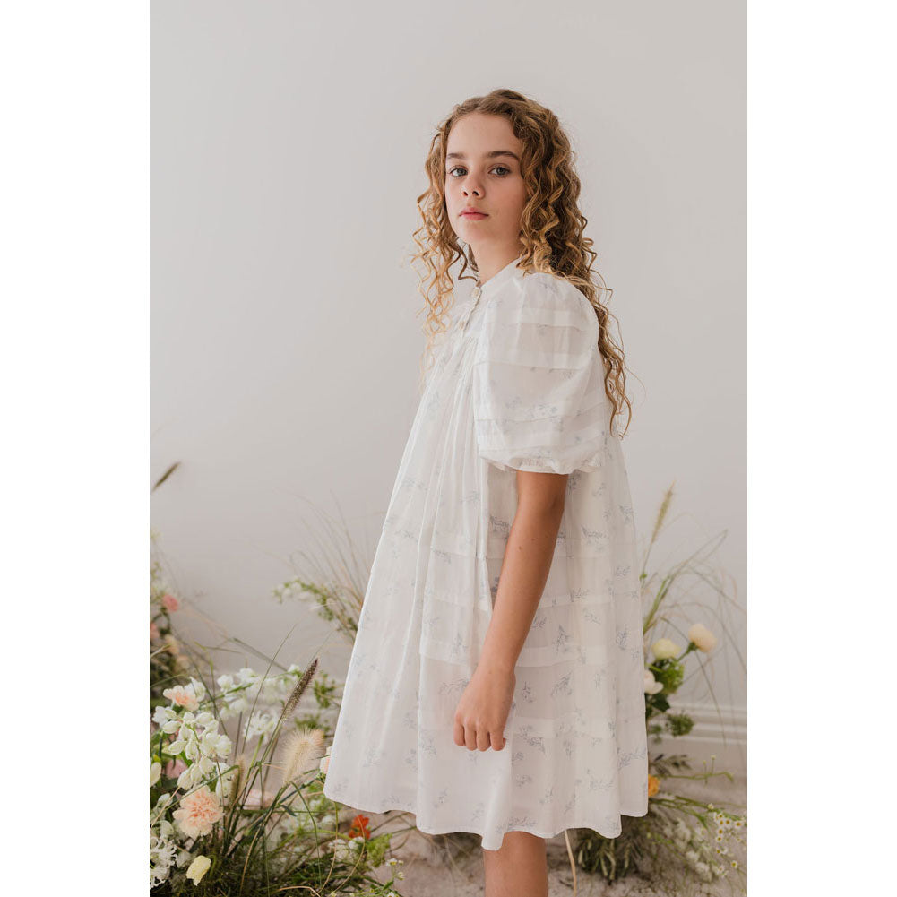 Steph Blue Ditsy Voile Dress