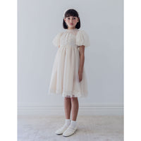 Petite Amalie  Vanilla Vintage Applique Bodice Tulle Dress