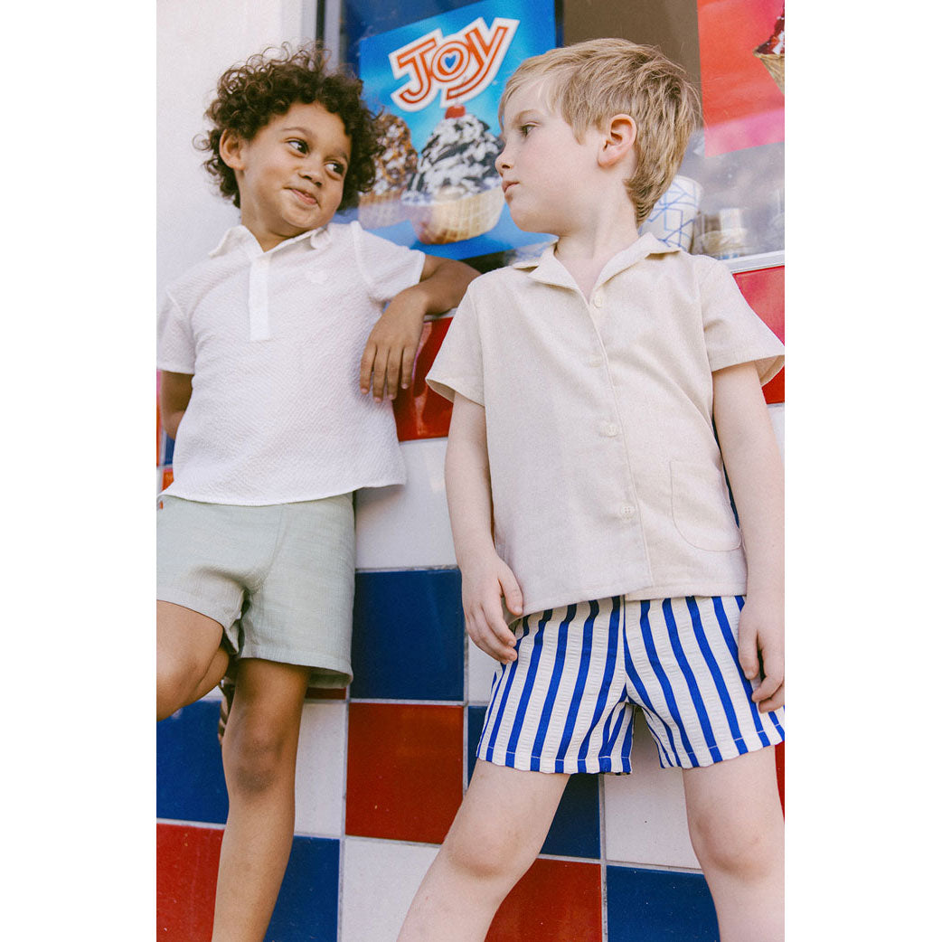 Arza Indigo Stripe Shorts