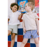 Arza Indigo Stripe Shorts