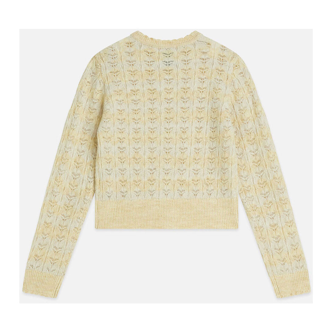Scotch Shrunk  Pastel Yellow Multi Stripe Cardigan