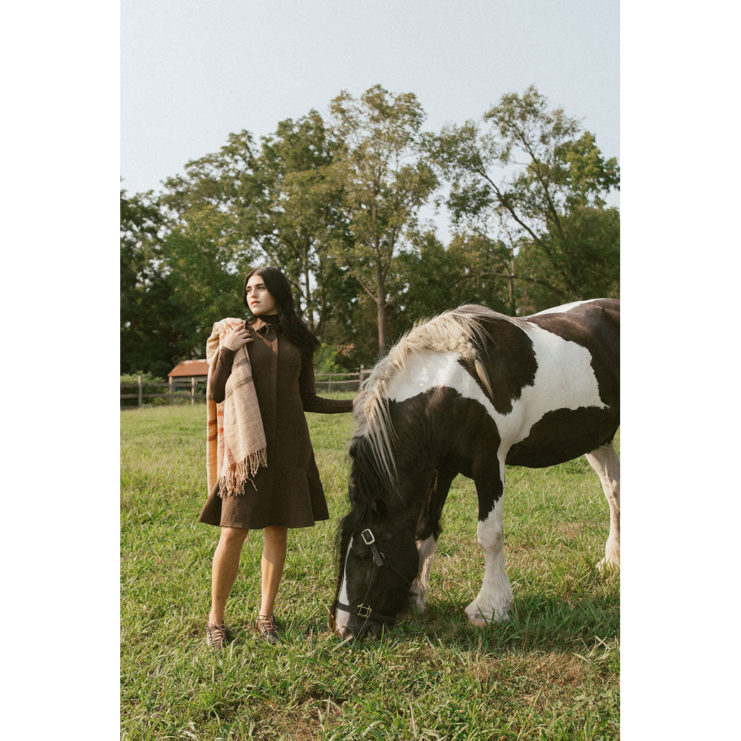 Darlin Brown Wool Sleeveless Dress