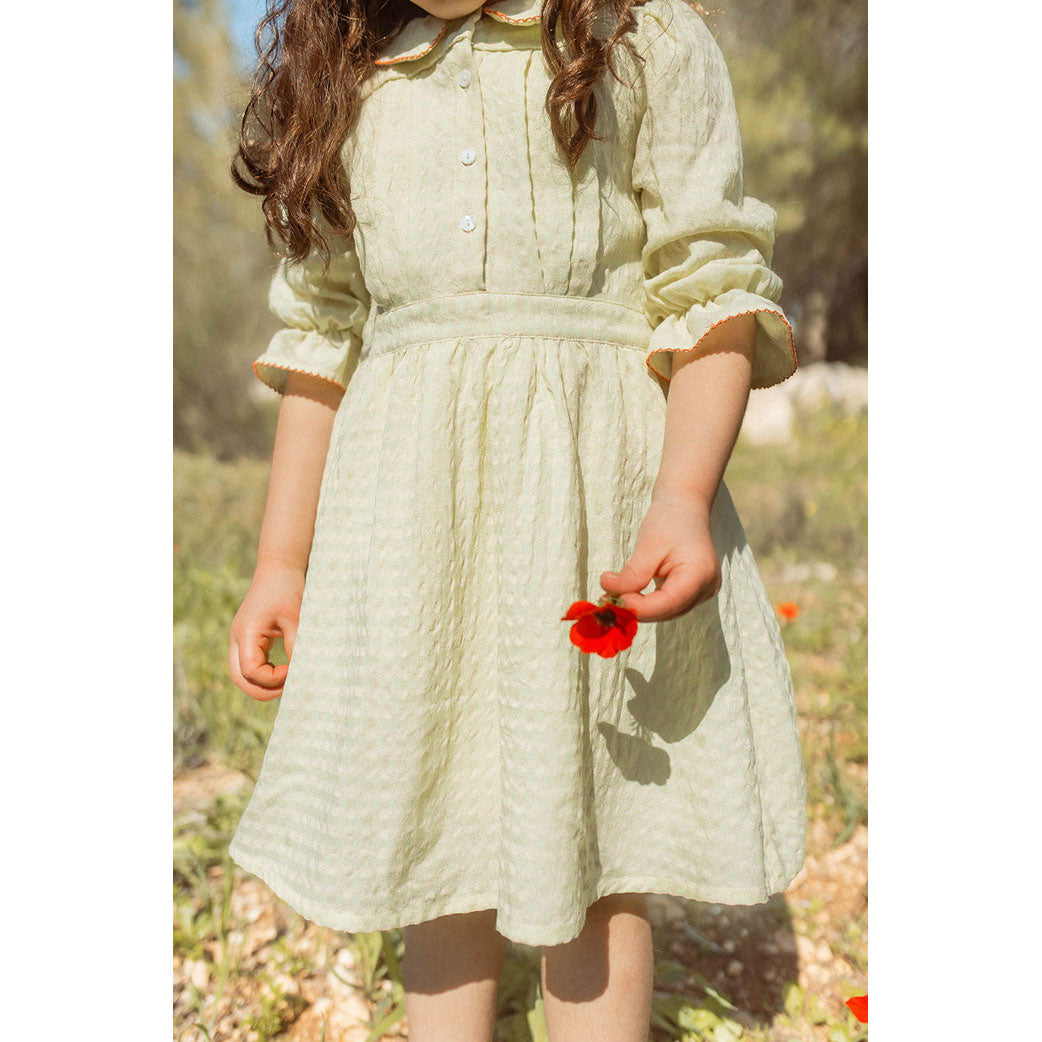 L by Ladida Lime Check Dress