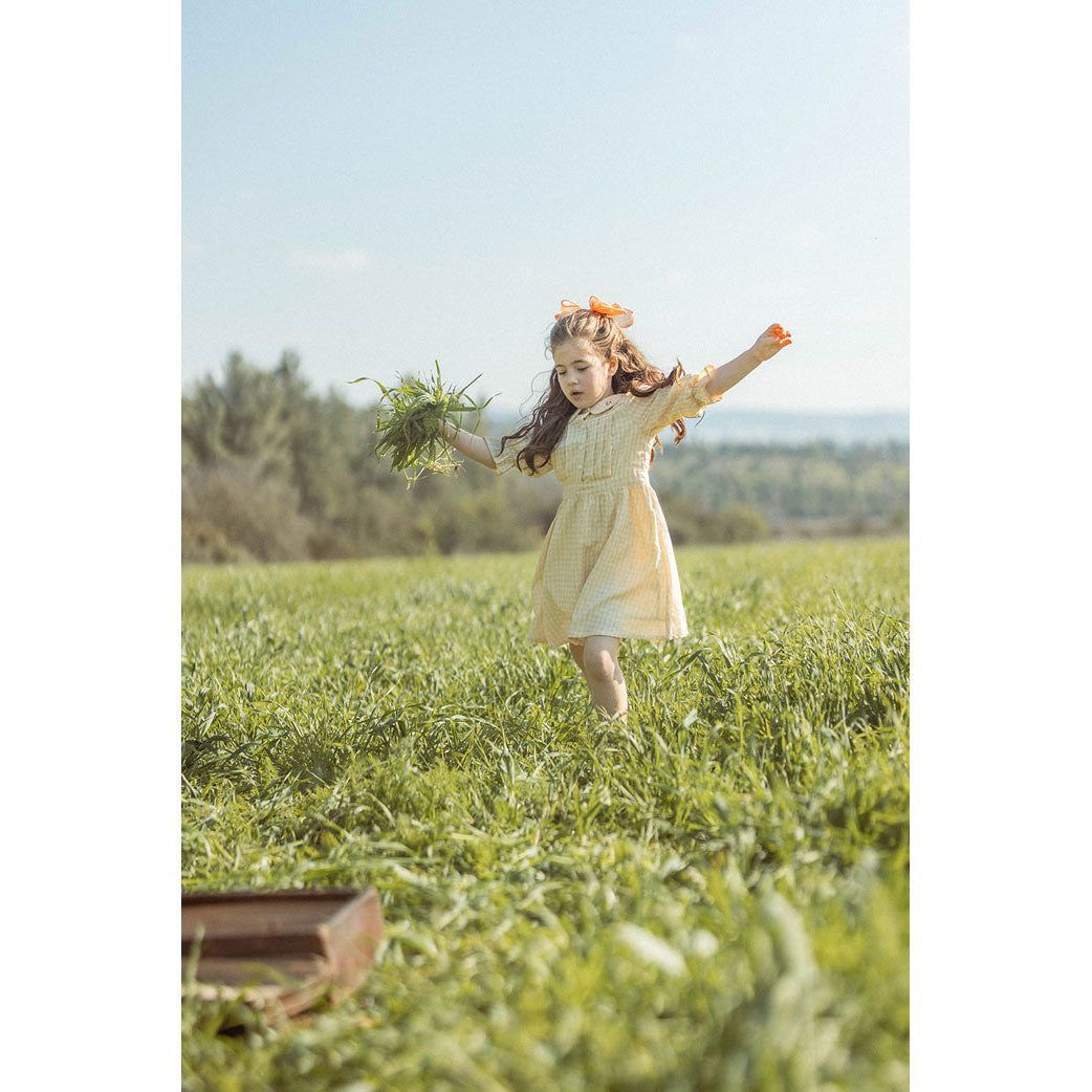 L by Ladida Yellow Check Dress
