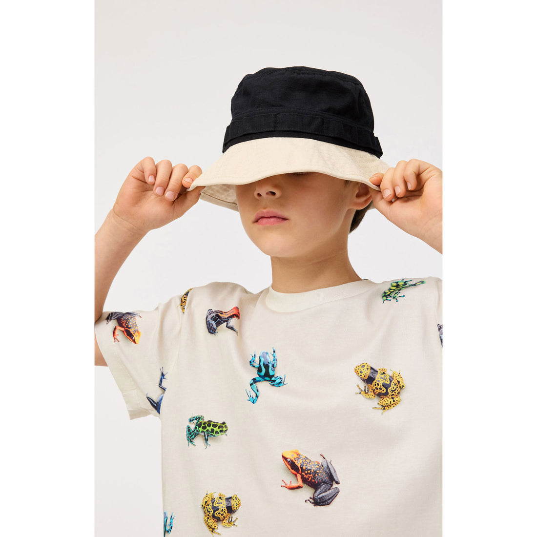 Molo Vibrant Frogs Roxo T-Shirt