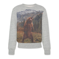 AO76 Oxford Tom Bear Sweatshirt