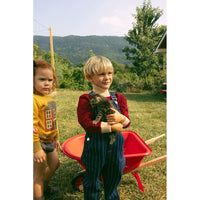 1984 Striped Denim Overalls