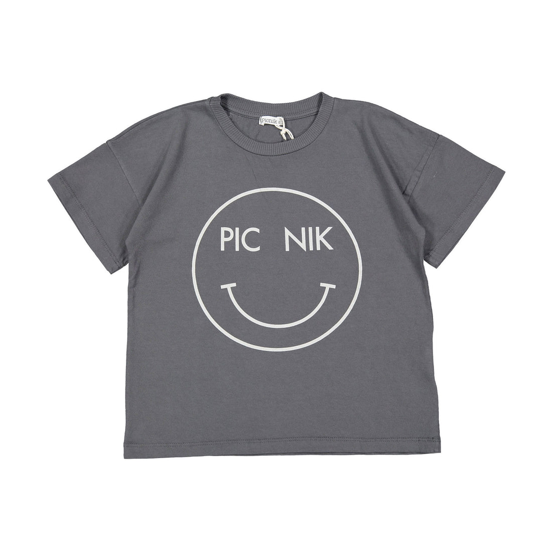 Picnik Gray Joan T-Shirt