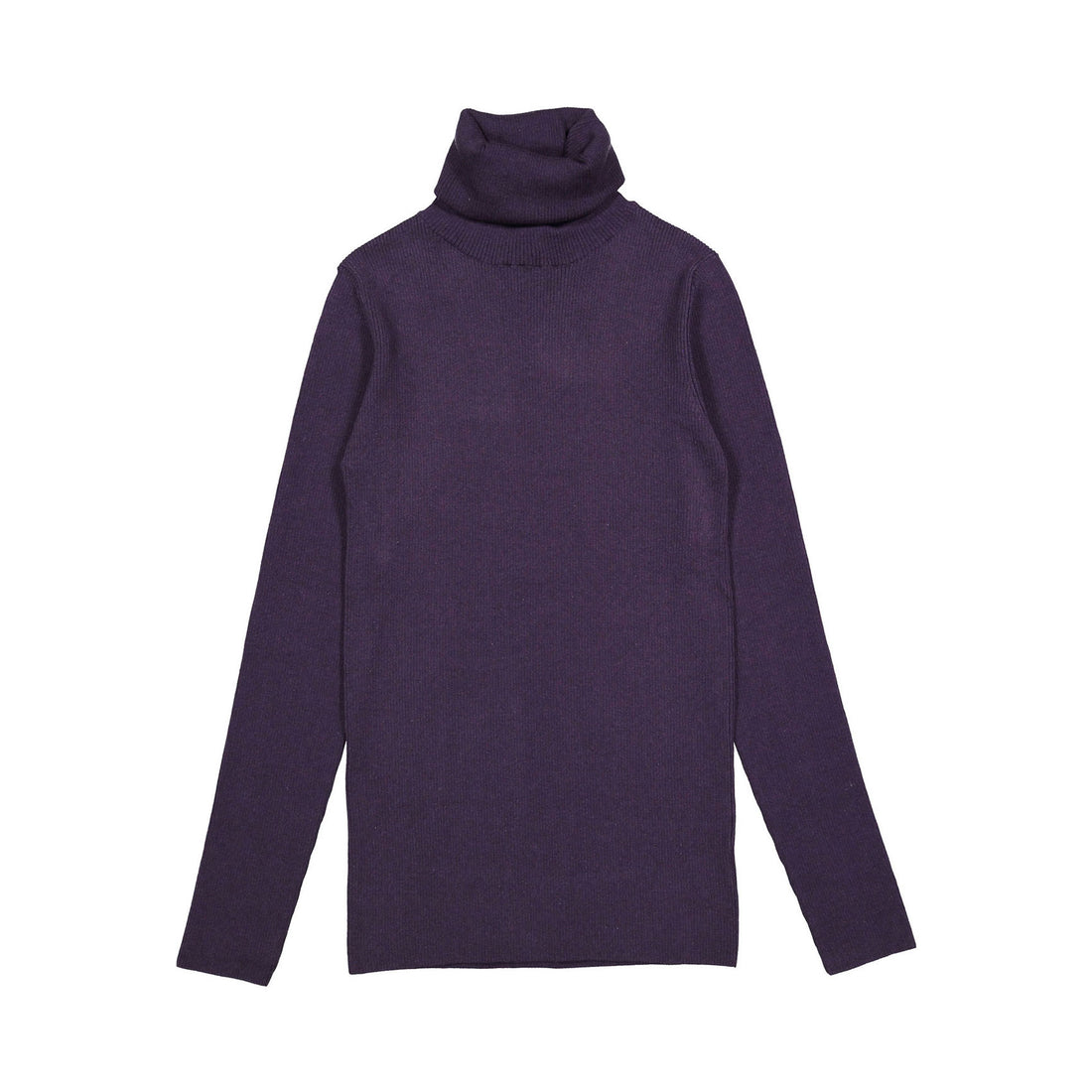 Tia Cibani Prune Classic Ribbed Womens Turtleneck