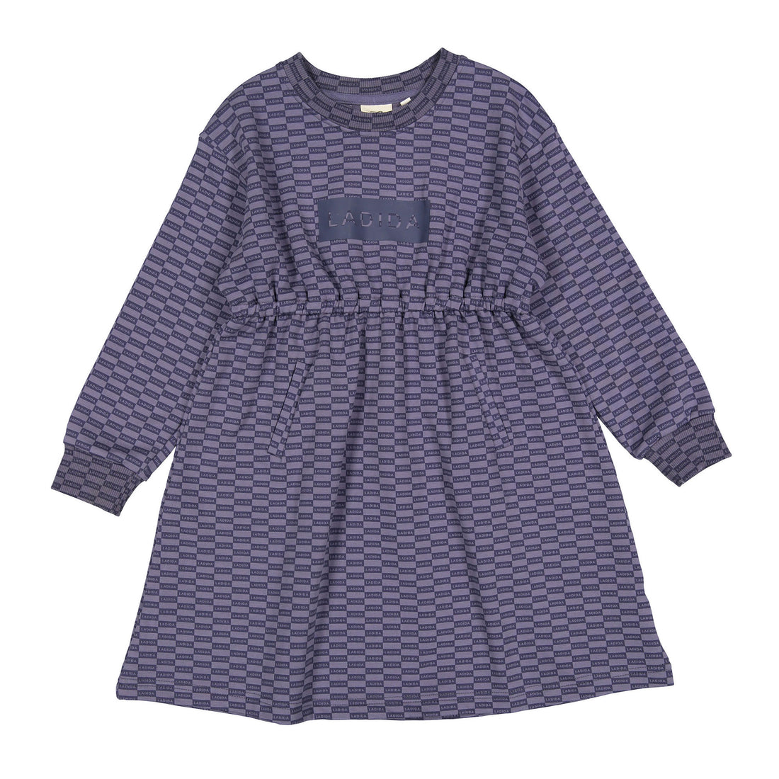 L by Ladida Slate Blue Print Dress