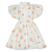 Steph Petite Rose Voile Dress