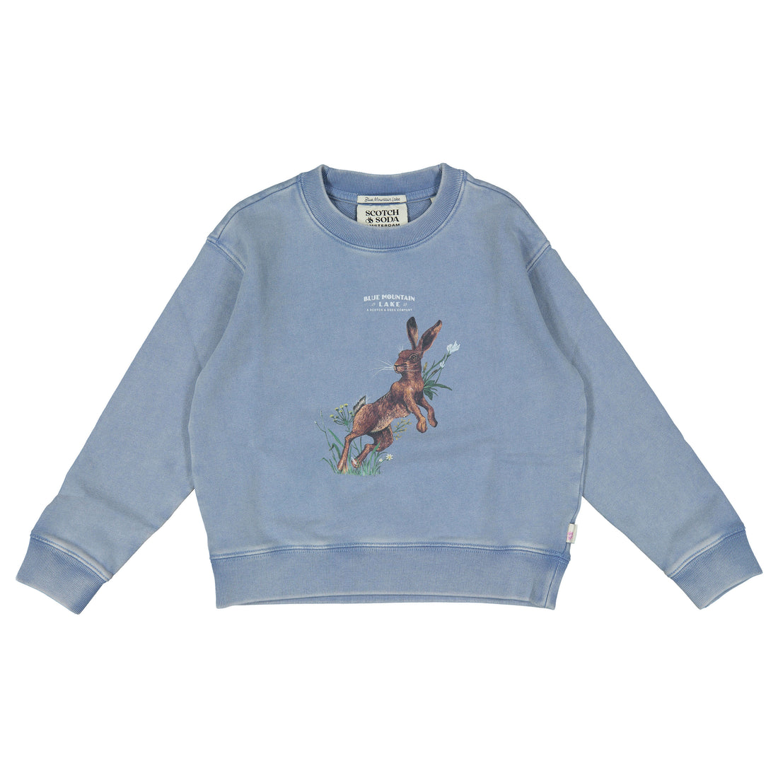 Scotch Shrunk Lake Blue Artwork Crewneck