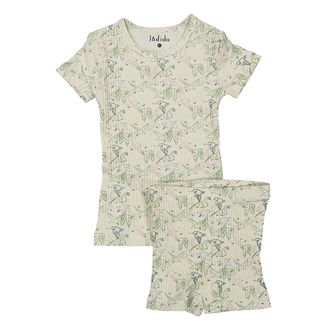 Ladida Layette Wings Tee+ Shorts Set
