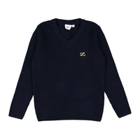 L by Ladida Navy V Neck Sweater
