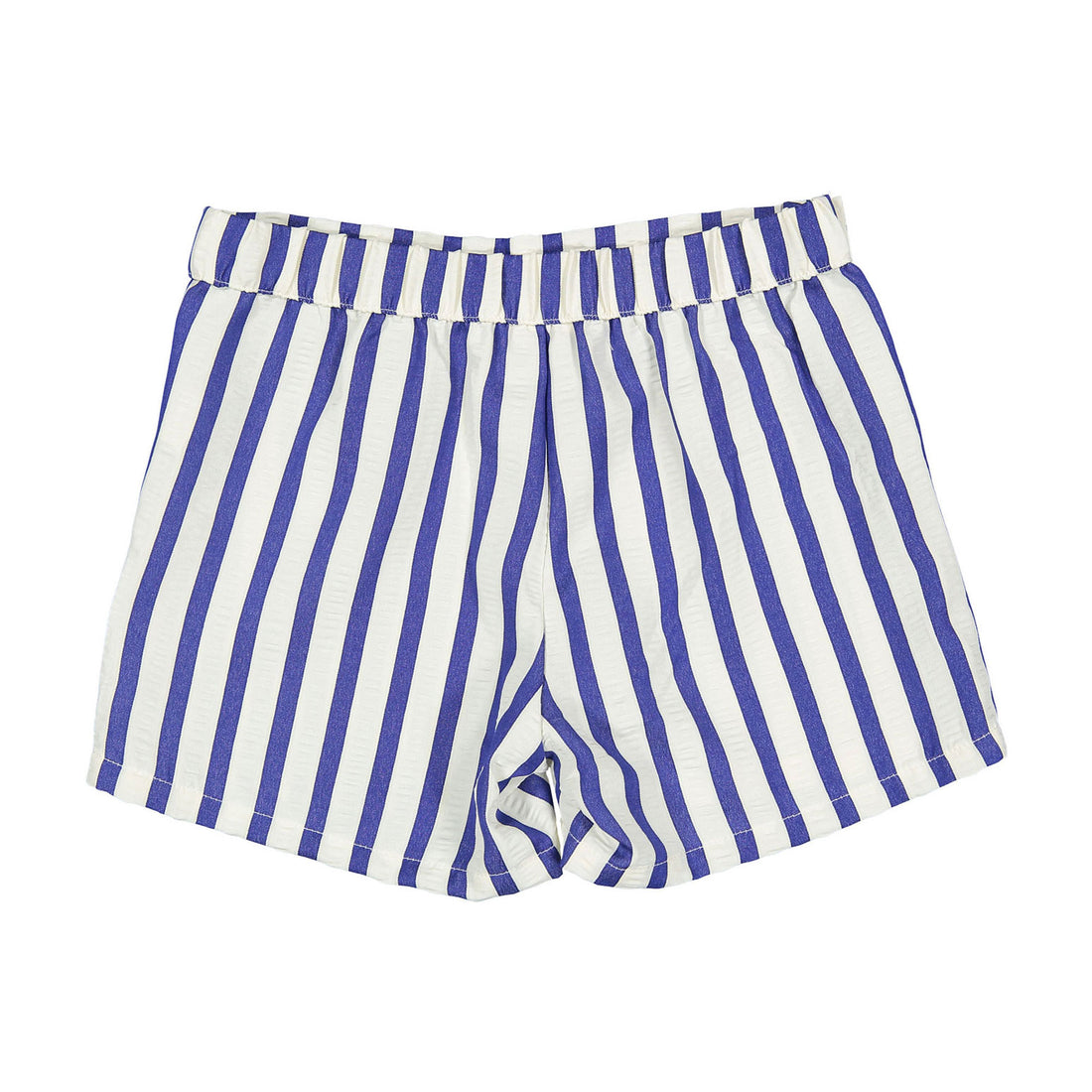 Arza Indigo Stripe Shorts