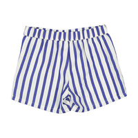 Arza Indigo Stripe Shorts