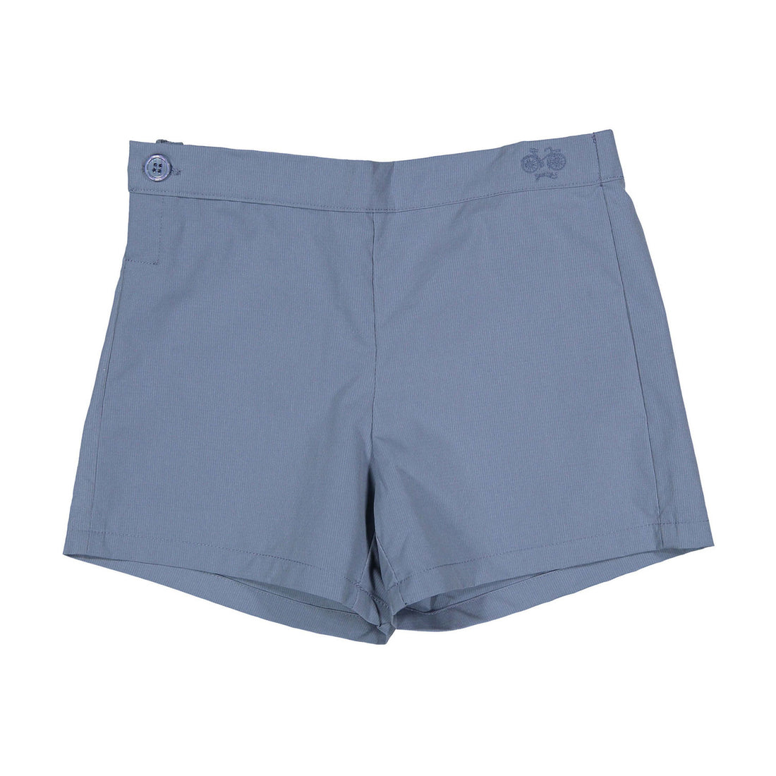 Arza Blue Shorts
