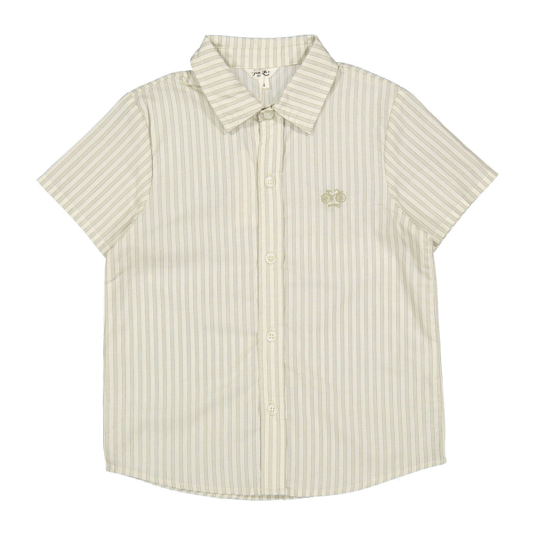 Arza Blue Striped Shirt