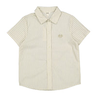 Arza Blue Striped Shirt