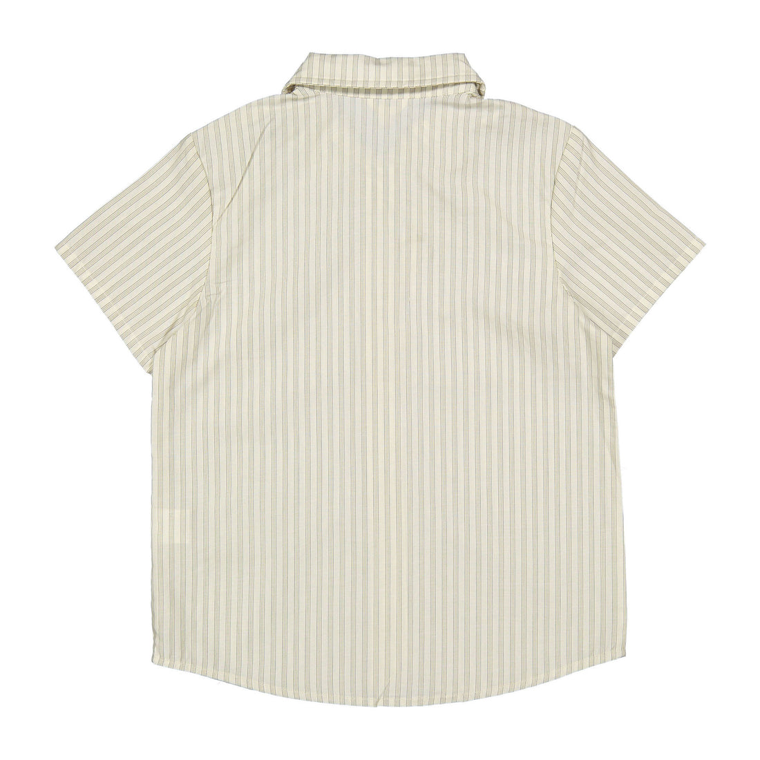 Arza Blue Striped Shirt