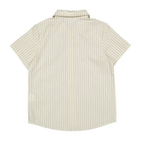Arza Blue Striped Shirt