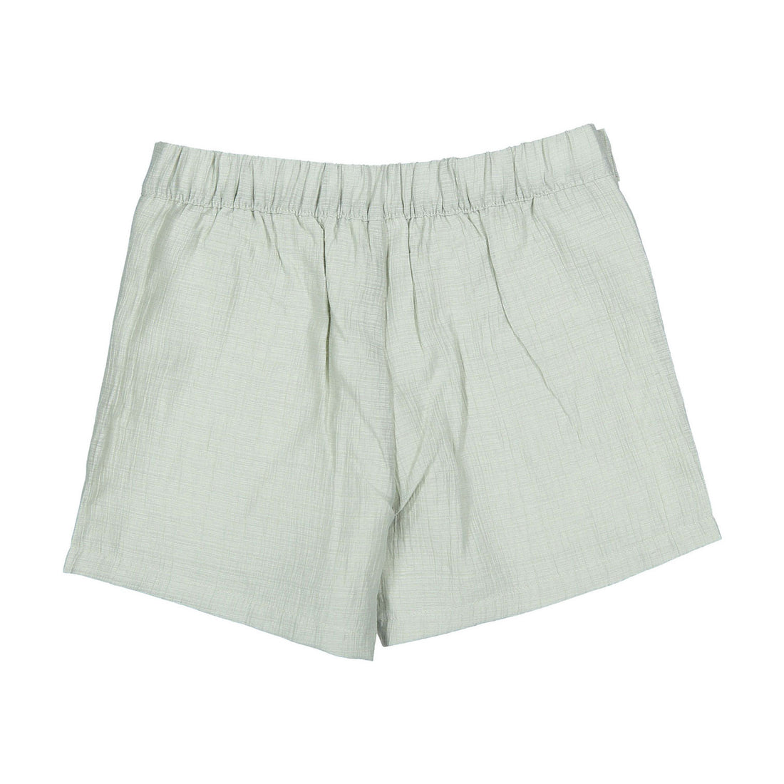 Arza Sage Shorts