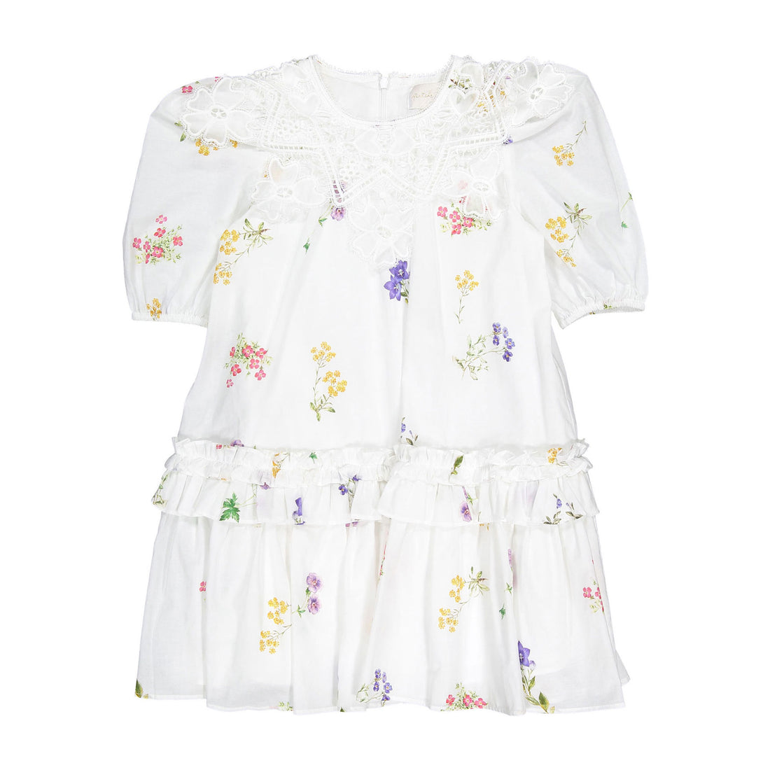 Petite Amalie  Floral Sketch Collar Dress
