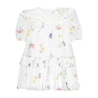 Petite Amalie  Floral Sketch Collar Dress