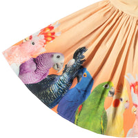Molo Rainbow Parrots Cissa Dress