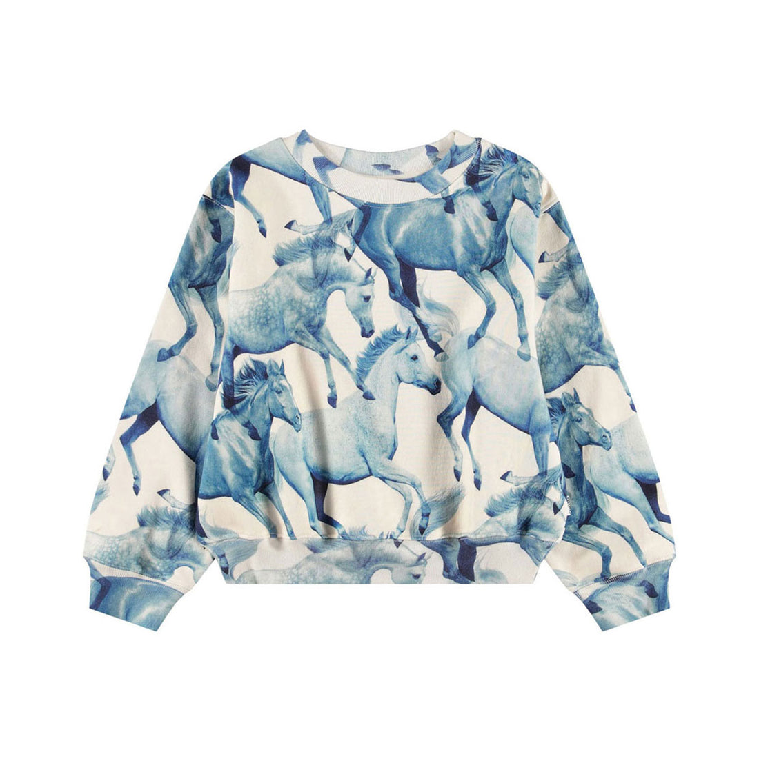 Molo Blau Ponies Marge Sweatshirt