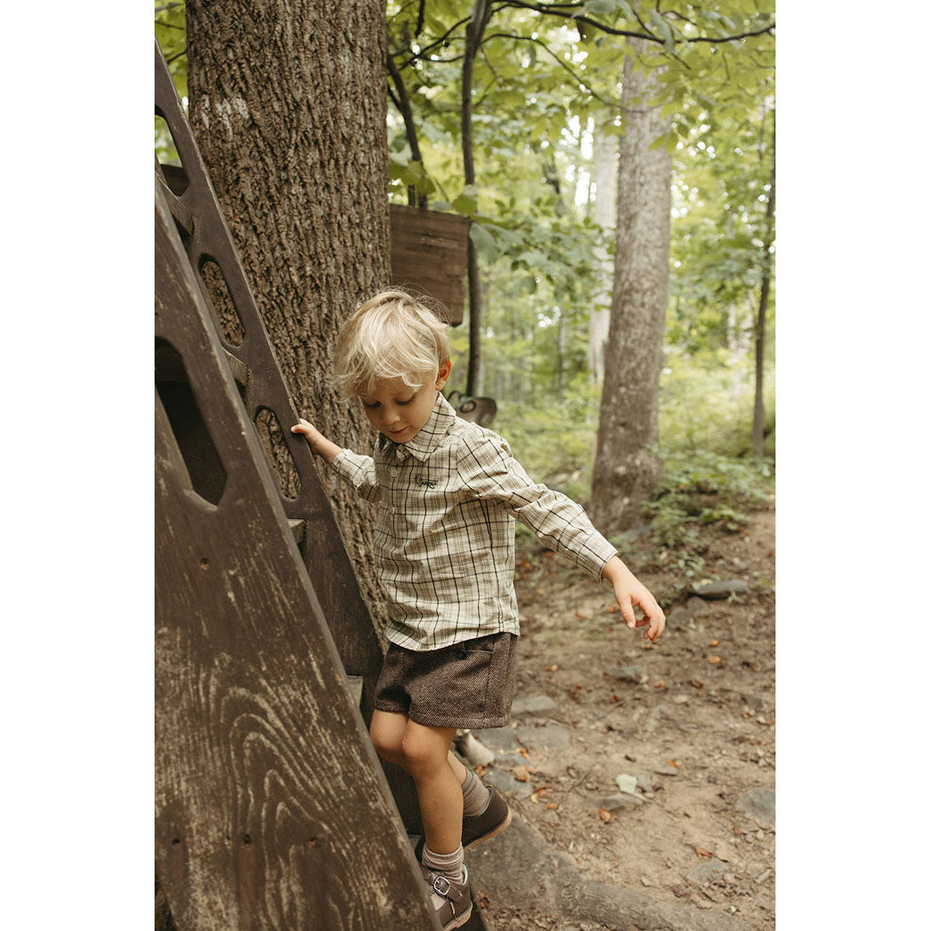 Arza Brown Textured Wool Shorts