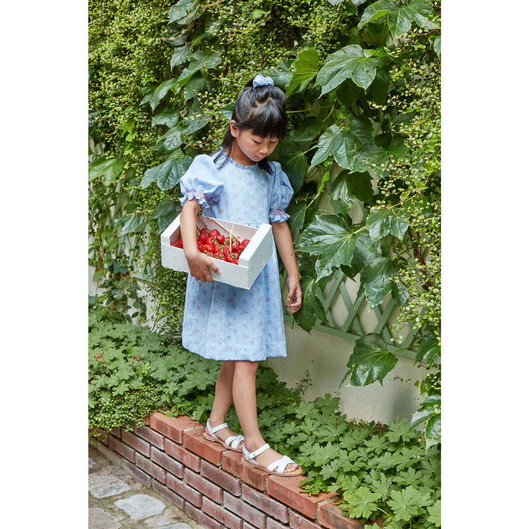 Kidiwi Blue Seersucker Gingham/Bouquet Dress